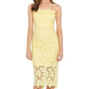 Bardot Sunshine Lace Sheath Dress